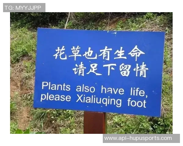 我们踢足球的英文翻译及相关表达方式的全面解析与应用